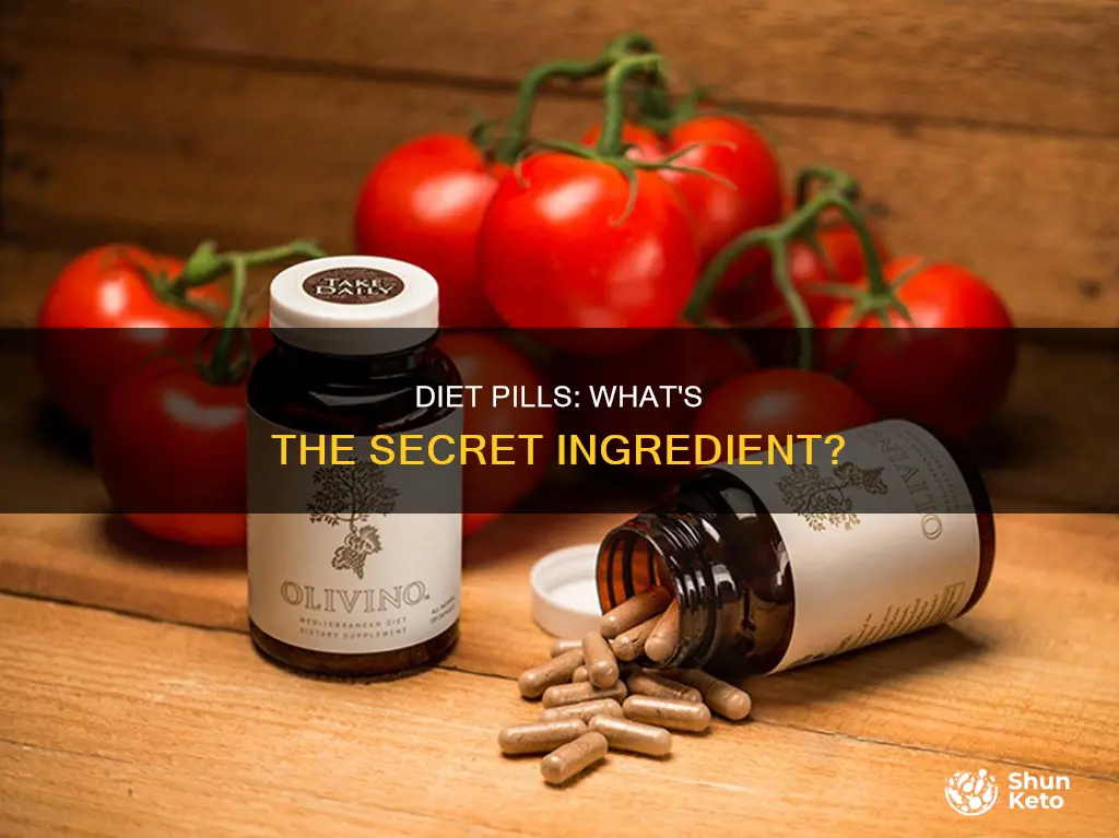 what is the main ingredient in diet pills