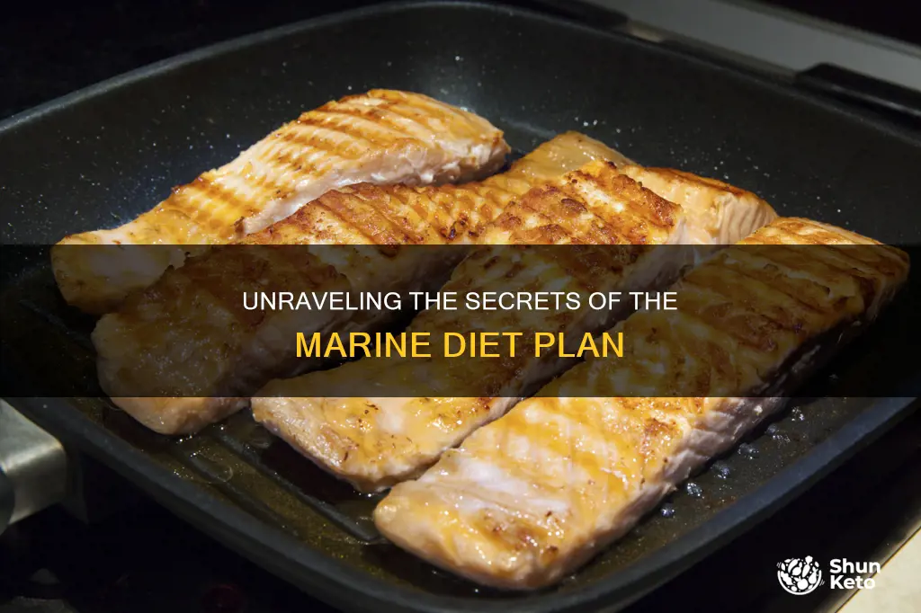 what is the marine diet plan