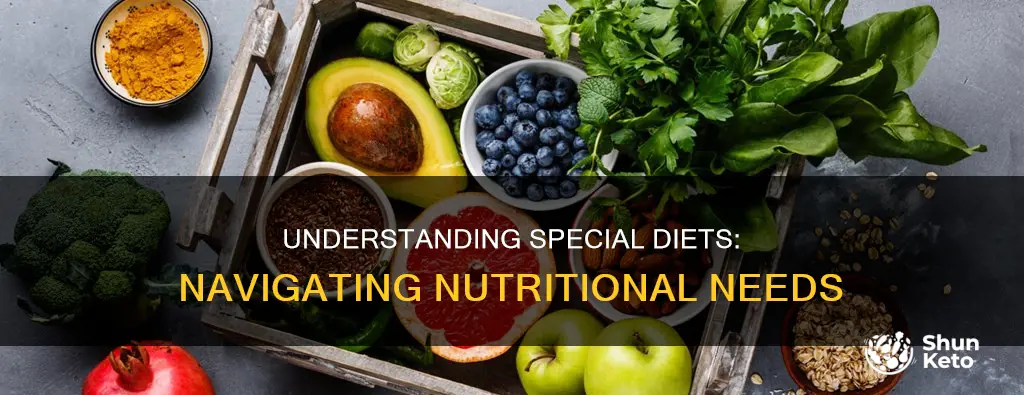 what is the meaning of a special diet