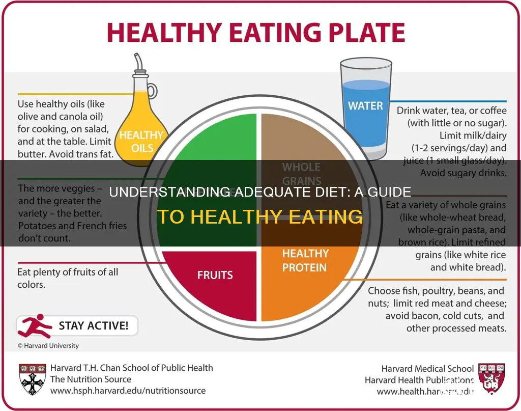 what is the meaning of adequate diet