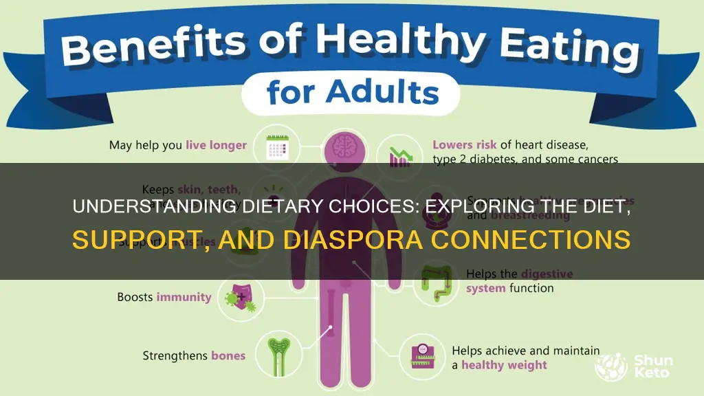 what is the meaning of diet diet support diaspora