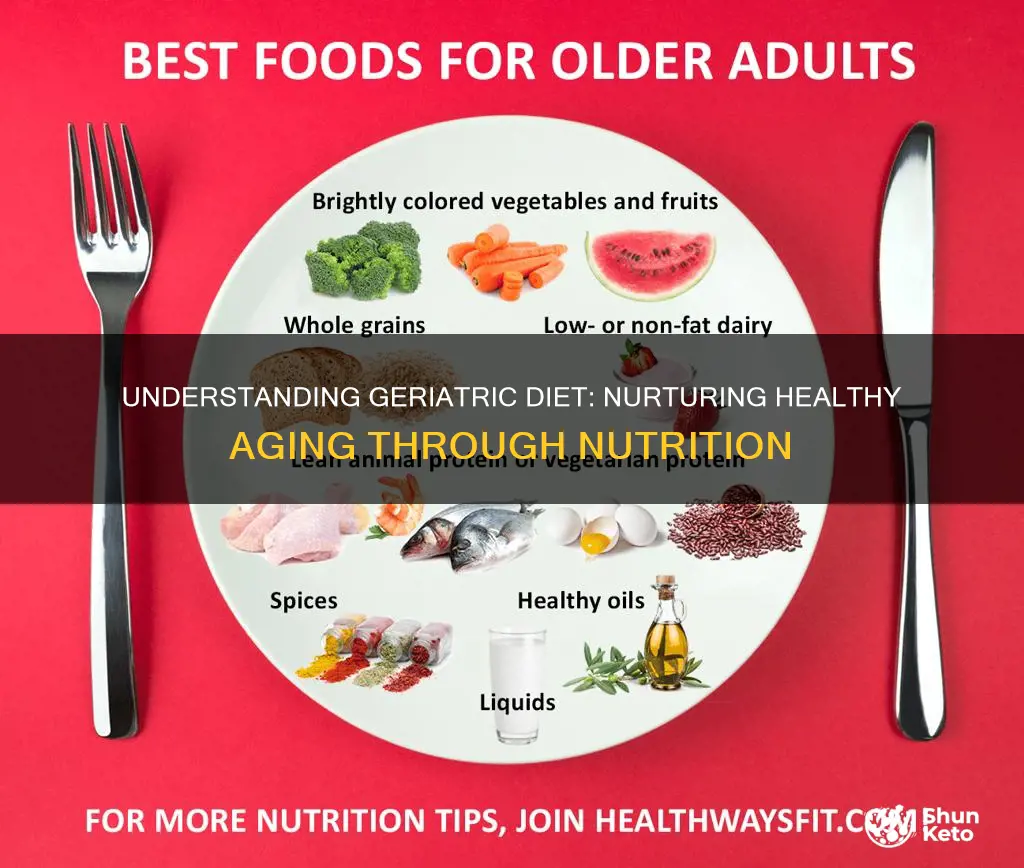 what is the meaning of geriatric diet