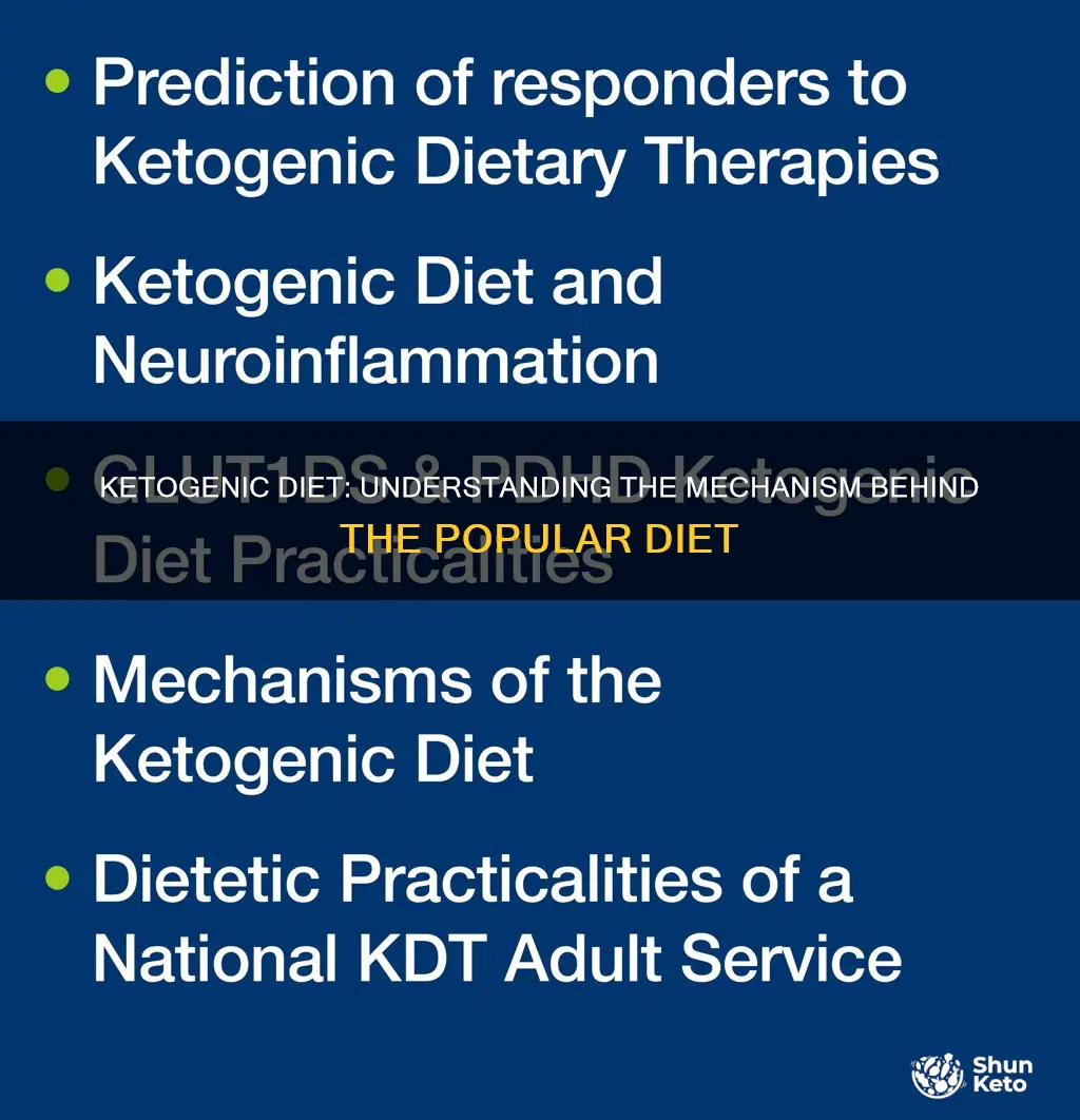 what is the mechanism for the ketogenic diet