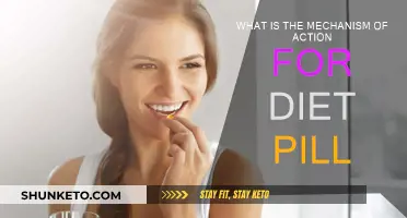 How Diet Pills Work: Mechanism of Action