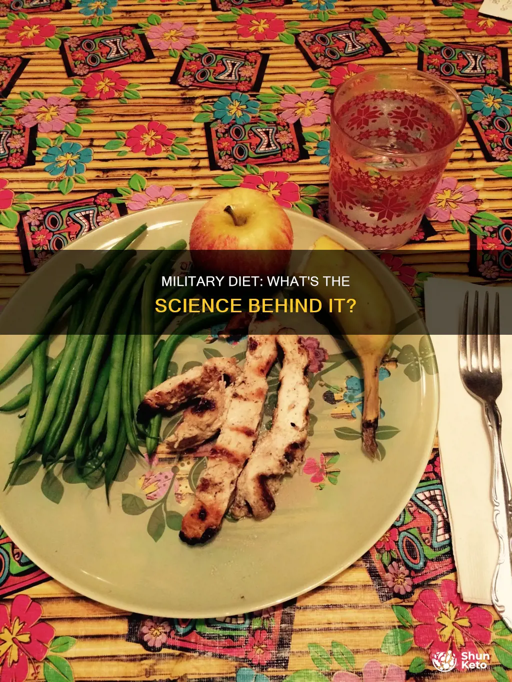 what is the military diet based on