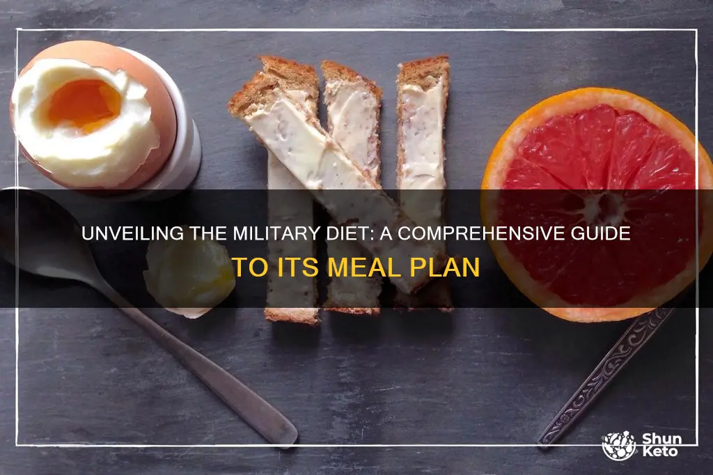 what is the military diet meal plan