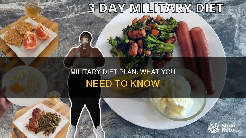 what is the military diet plan