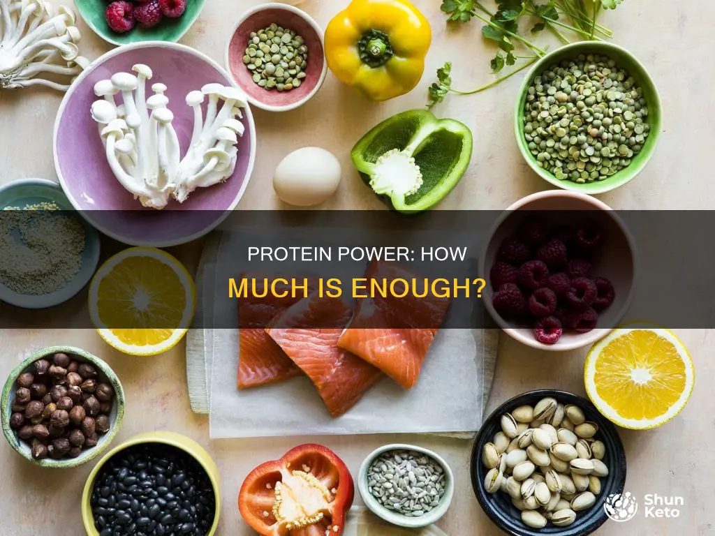 what is the minimum amount of protein in daily diet