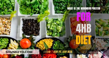 Protein Intake for 4HB Diet: How Much Is Enough?