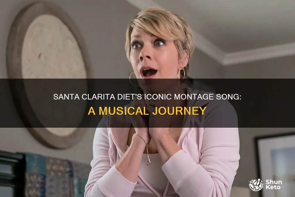 what is the montage song from santa clarita diet