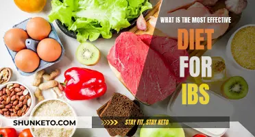 Effective Dieting Strategies for IBS: Personalized Nutrition