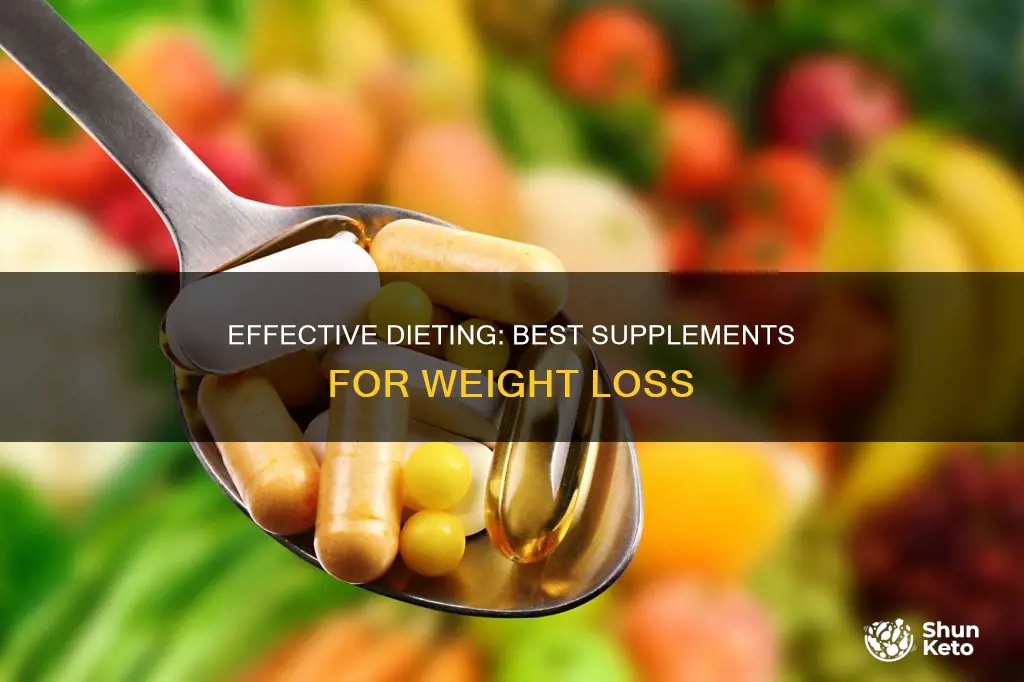 what is the most effective diet supplement