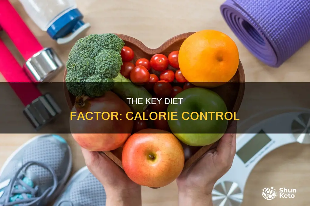 what is the most important factor with regard to diet