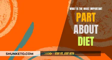 Nutrition Fundamentals: The Core of Dieting Success