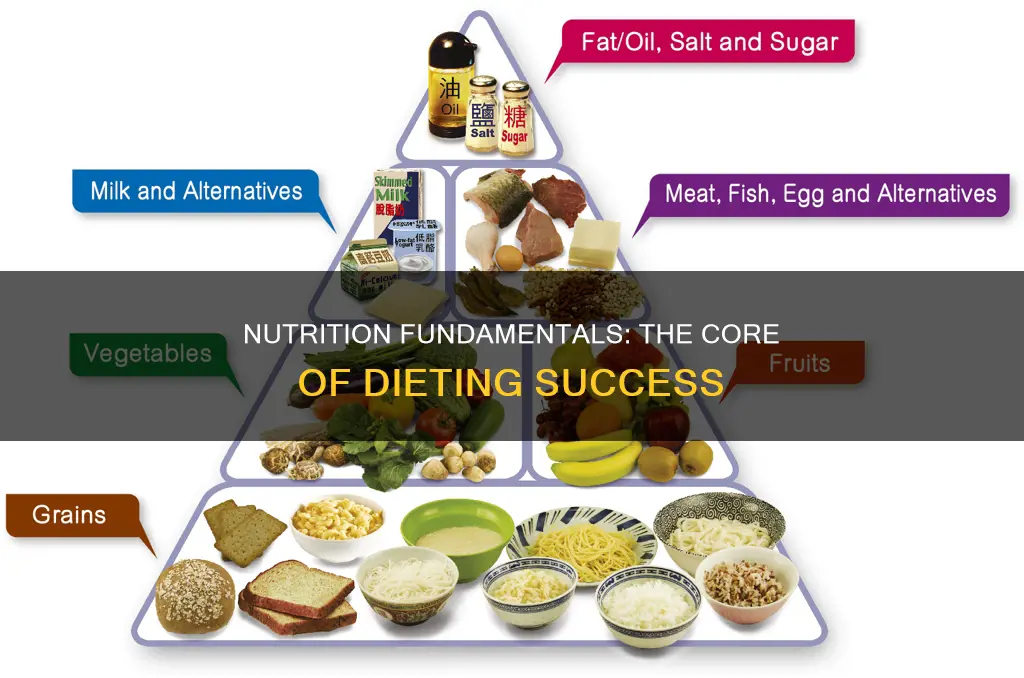 what is the most important part about diet