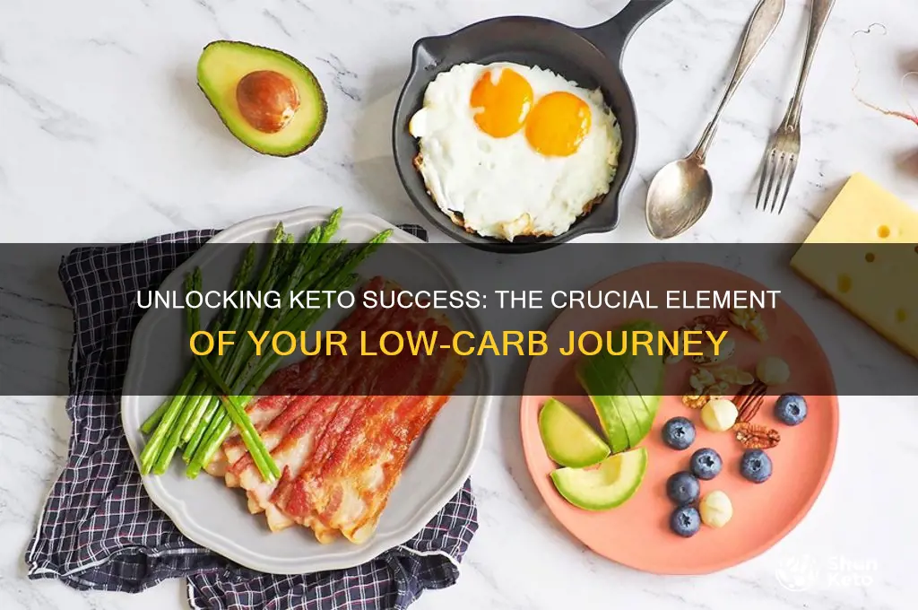 what is the most important part of keto diet