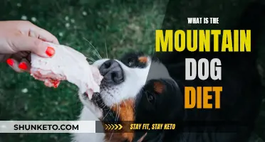 Mountain Dog Diet: Nutrition and Training for Muscle Growth