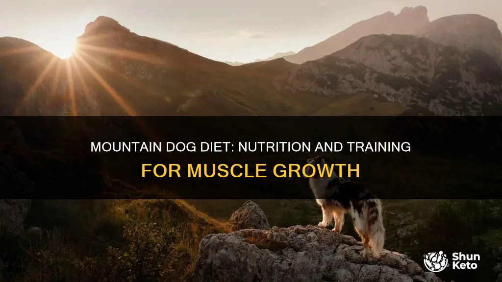 what is the mountain dog diet