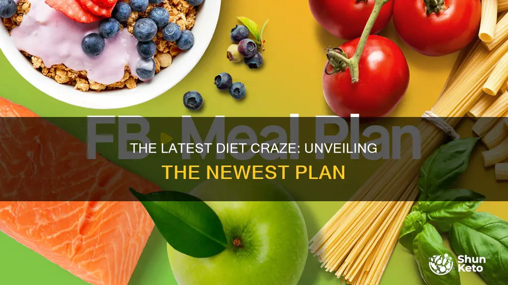 what is the name of the newest diet plan