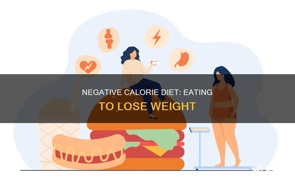 what is the negative calorie diet