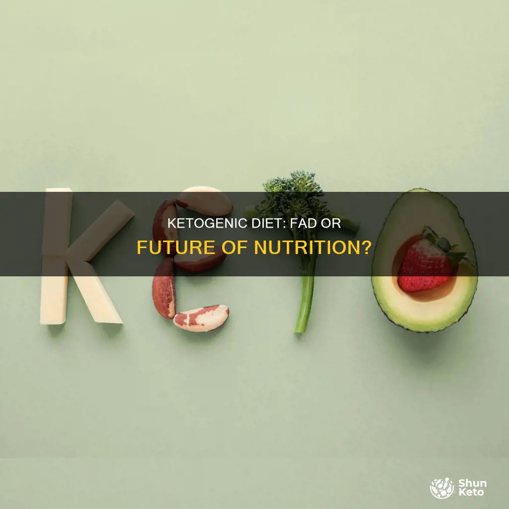 what is the new fad ketogenic diet