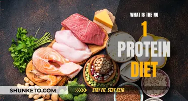 Protein-Rich Diet: The Number One Way to Lose Weight