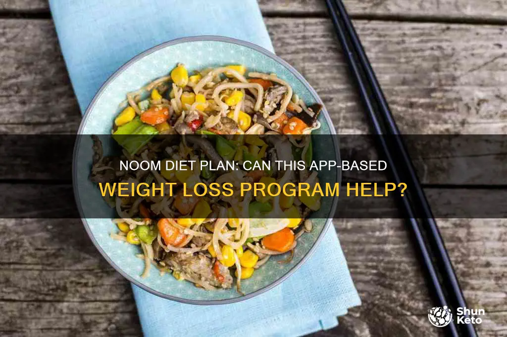 what is the noom diet plan