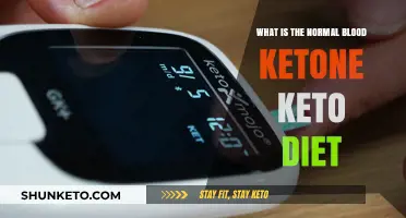 Understanding Normal Blood Ketone Levels on a Keto Diet
