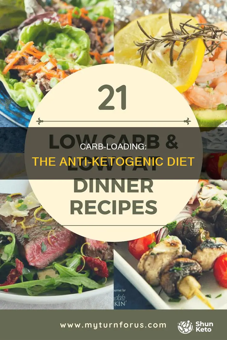 what is the opositon of ketogenic diet