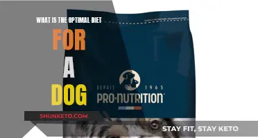 Dog Diet: What's the Optimal Food Formula?