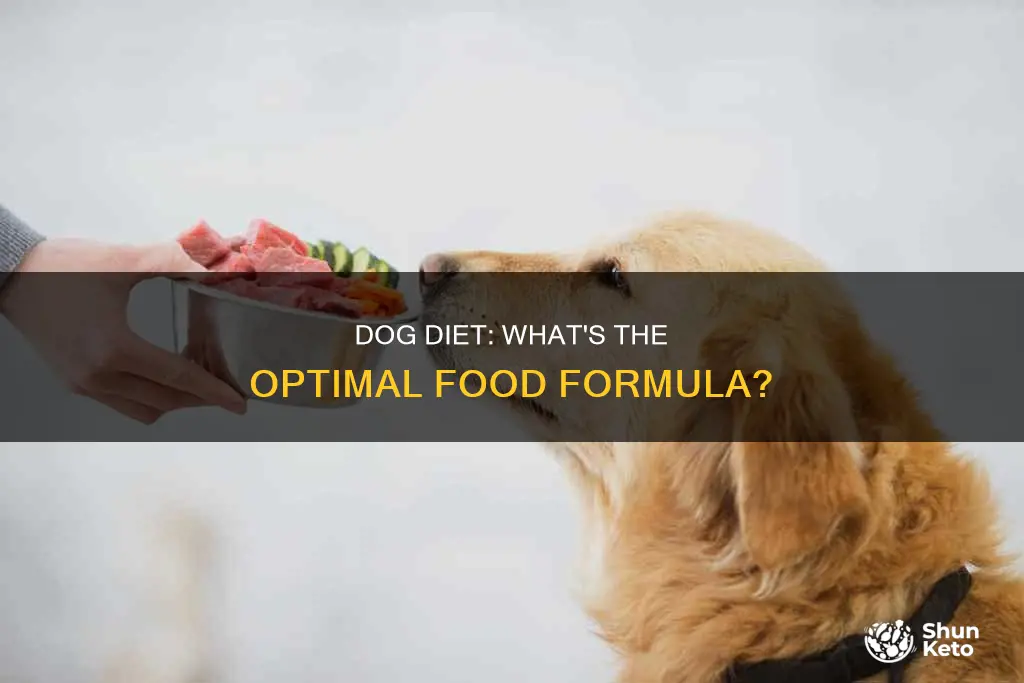 what is the optimal diet for a dog