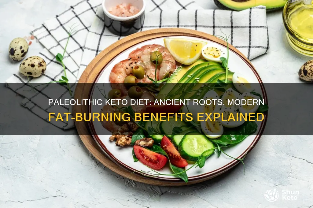 what is the paleolithic keto diet