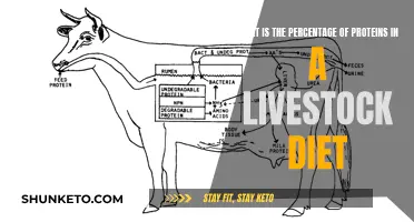 Protein Proportion in Livestock Diet: What's the Right Percentage?