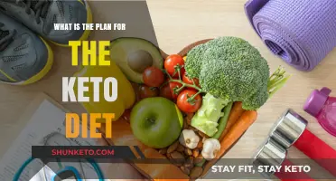 Mastering Keto: Your Comprehensive Plan for the Keto Diet