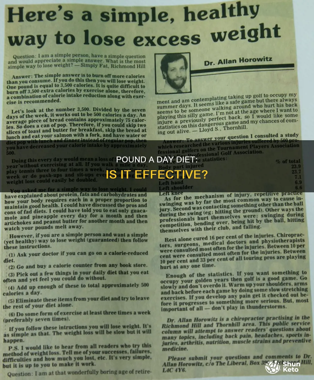 what is the pound a day diet review