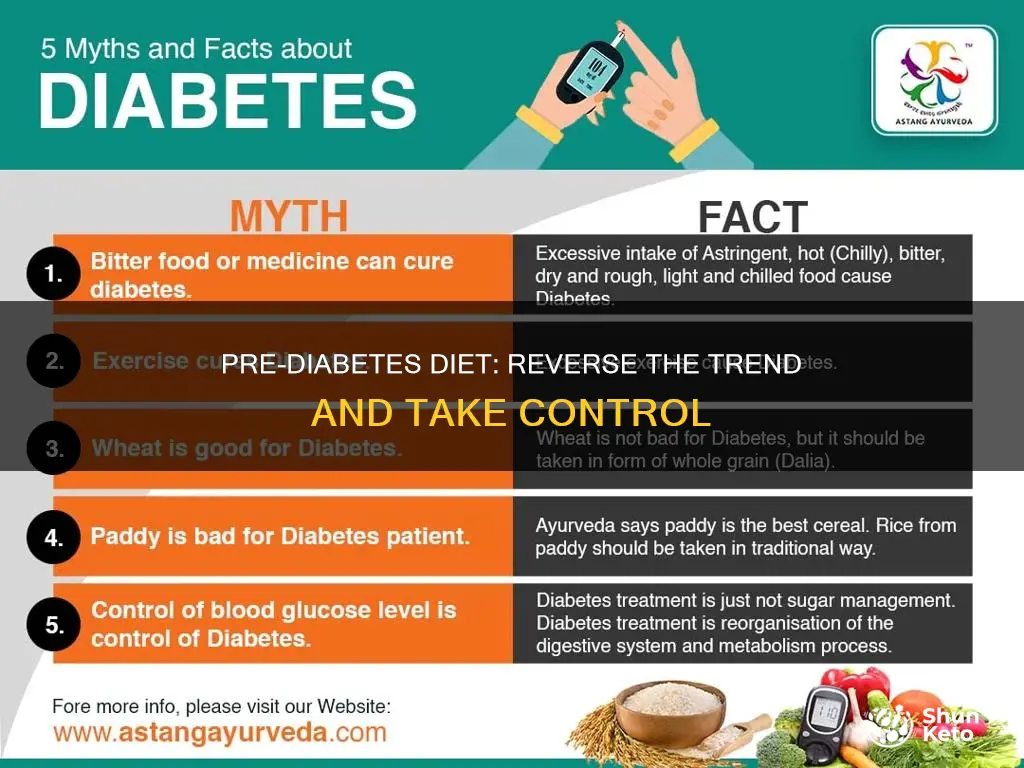 what is the pre diabetes diet plan