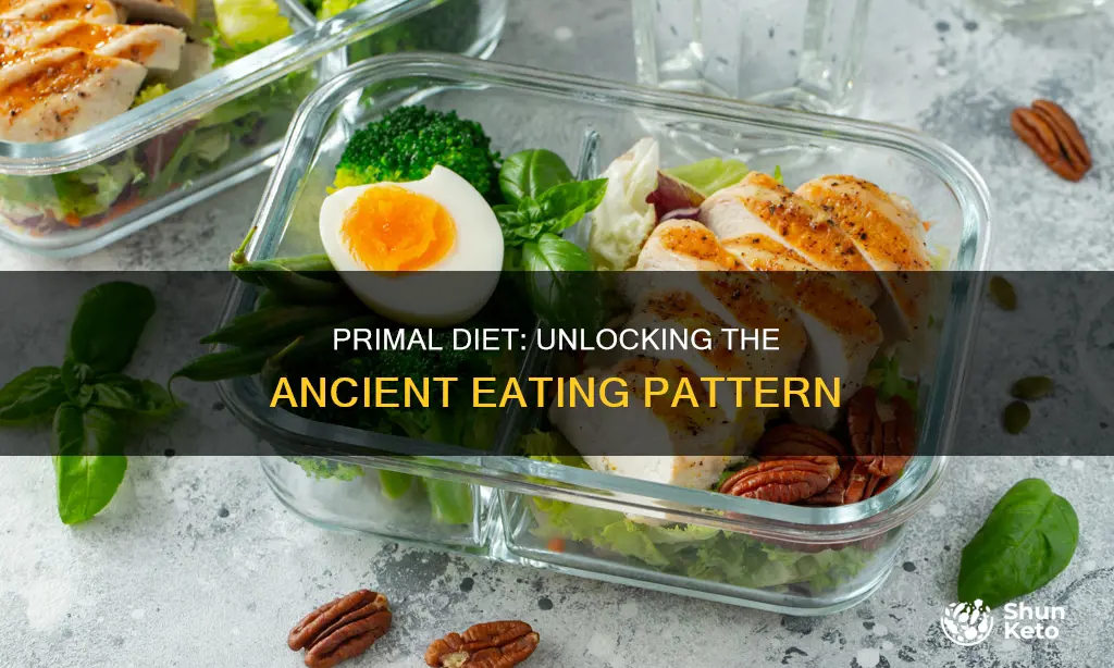 what is the primal diet plan