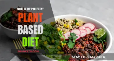 Protective Plant-Based Diet: Eating for Health and Longevity