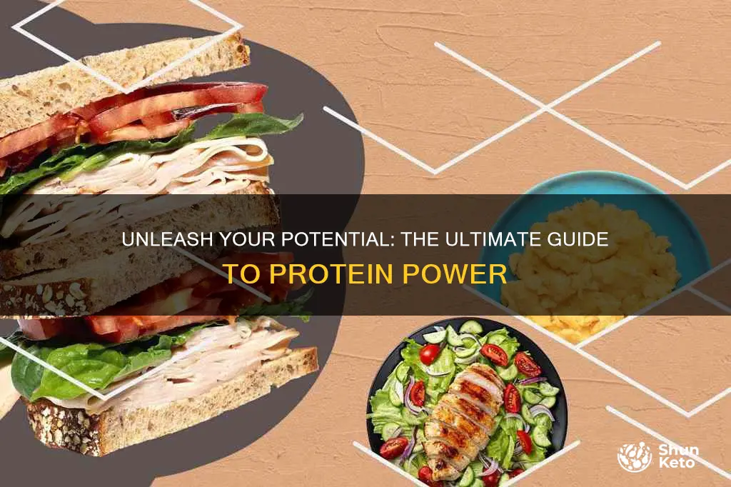 what is the protein power diet plan