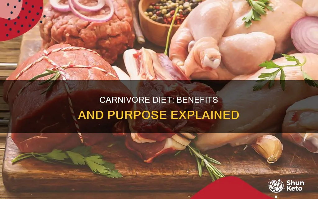 what is the purpose of a carnivore diet