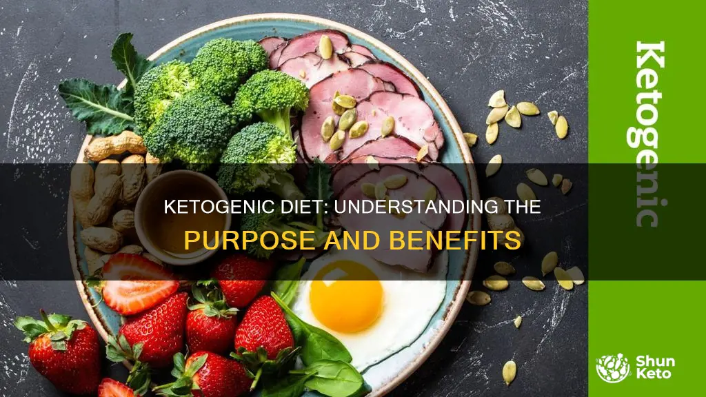 what is the purpose of a ketogenic diet