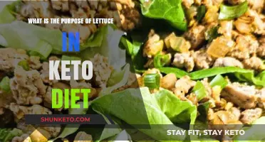 Lettuce and Keto: Understanding Its Role in Low-Carb Diets