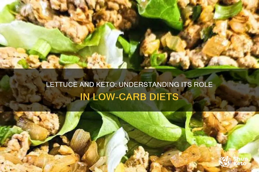 what is the purpose of lettuce in keto diet