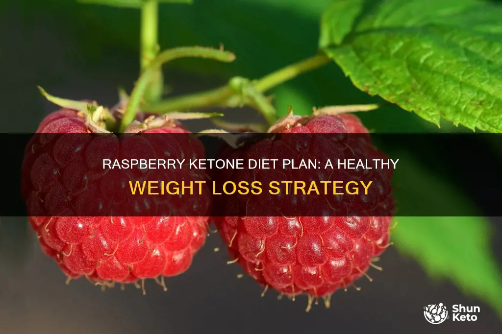 what is the raspberry ketone diet plan