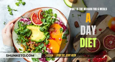 Six Meals a Day: The Reason Why