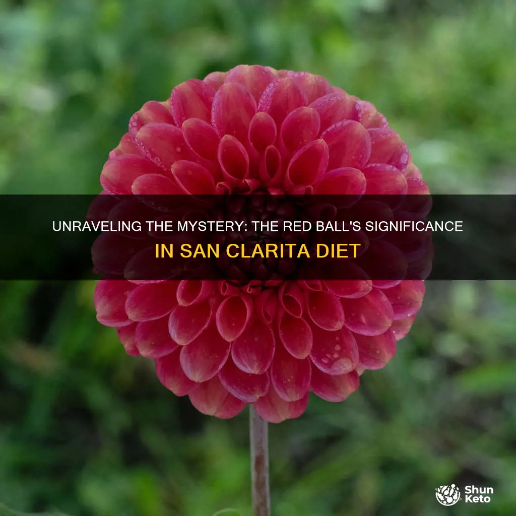 what is the red ball on san clarita diet