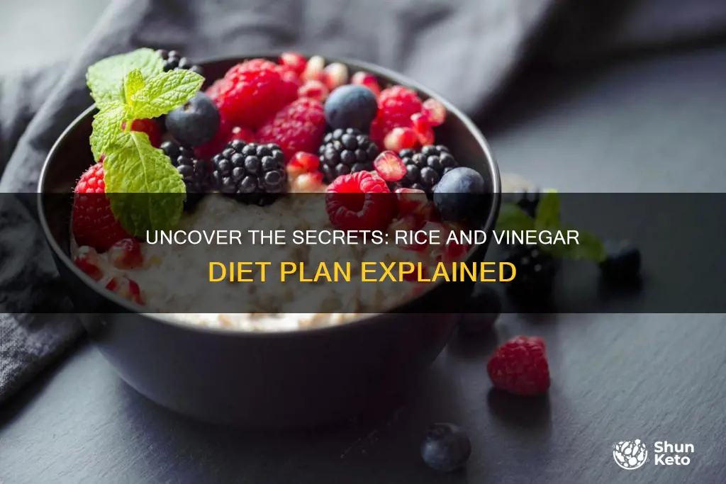 what is the rice and vinegar diet plan