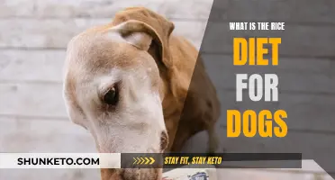 Rice Diet: A Healthy Option for Dogs?
