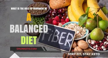 Roughage: Why It's a Dietary Essential