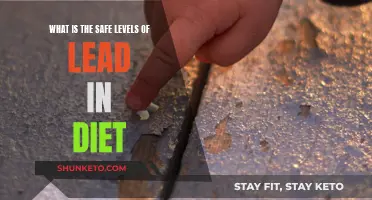 Safe Lead Levels: How Much is Too Much?